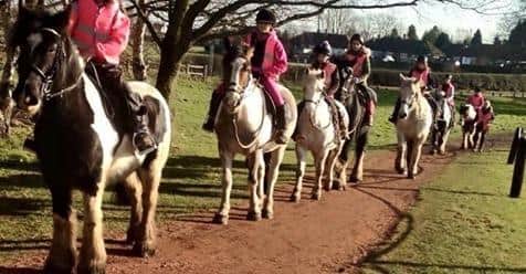 Sherwood Forest Trekking Centre