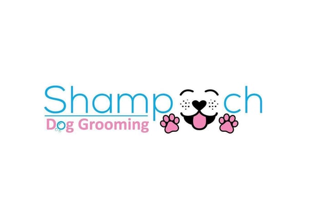 Shampooch, run by Amelia Jackson, was a popular recommendation. Located at 180 Victoria Rd, Kirkby in Ashfield. Call 07534 035975 for more information.