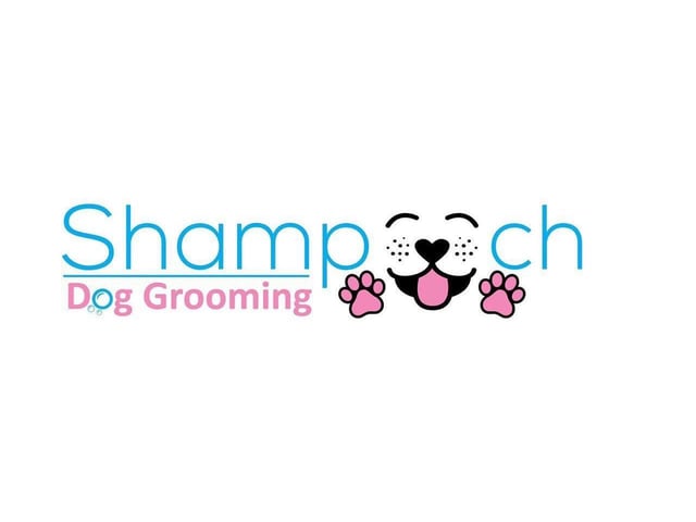 Shampooch, run by Amelia Jackson, was a popular recommendation. Located at 180 Victoria Rd, Kirkby in Ashfield. Call 07534 035975 for more information.