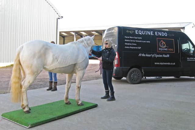 Woodside Farm Stables Riding for the Disabled has been awarded £5,999.