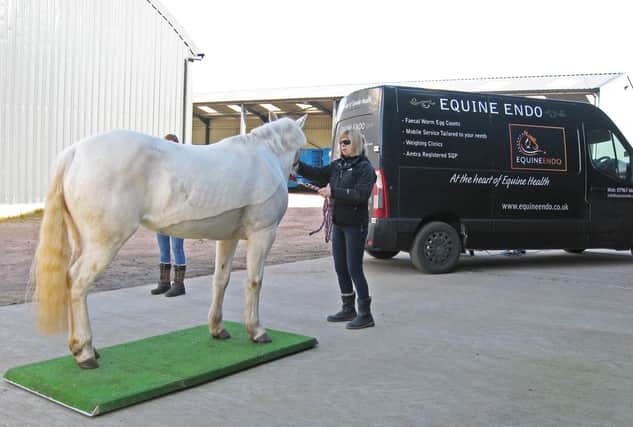 Woodside Farm Stables Riding for the Disabled has been awarded £5,999.