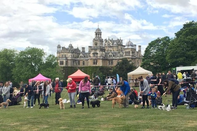Even your pets can join in the fun this weekend because Thoresby Park is hosting an annual dog show. A free event, taking place on Sunday between 11 am and 4 pm, Pawsby's Fun Dog Show comprises several classes, including most handsome chap, waggiest tail and golden oldie. Spectators can also enjoy demonstrations, stalls, competitions and food and drink throughout the day.
