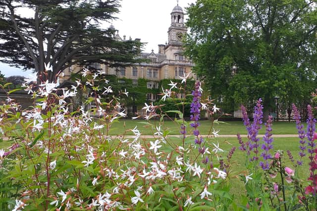 Summer Plant Fair Returns to Thoresby Park