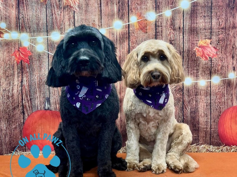 Strike a pose and show off your new look