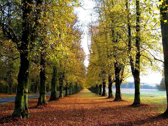 Thanks to our mobile phones, we all have access to cameras these days. So here's a chance to improve your photography style by joining Clumber Park's resident snapper for a seasonal, scenic walk through the grounds of Clumber Park. The walks take place on the last Tuesday morning of every month, with the next one next week.