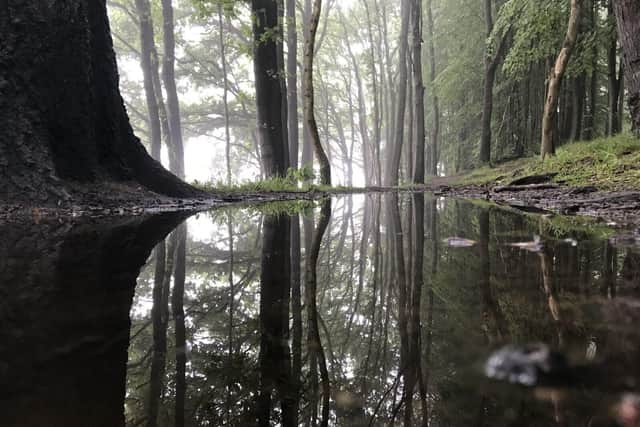 Reflections by Grace Gunton-Day