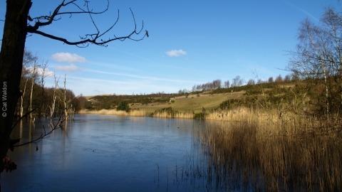 A beautiful forestry walk through Strawberry Hill Heath, passing a lake along the way which offers some lovely views over the quiet surface. You'll discover wonderful oak and birch trees in this area as you head through grass and heathland. Rated: Easy