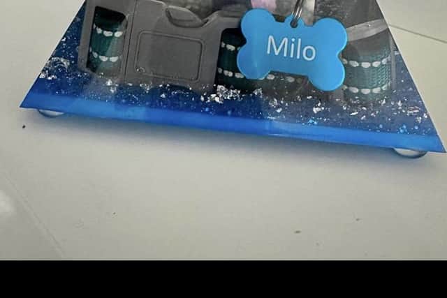 Here is an image of the item that is unaccounted for, which contains Milo's ashes.