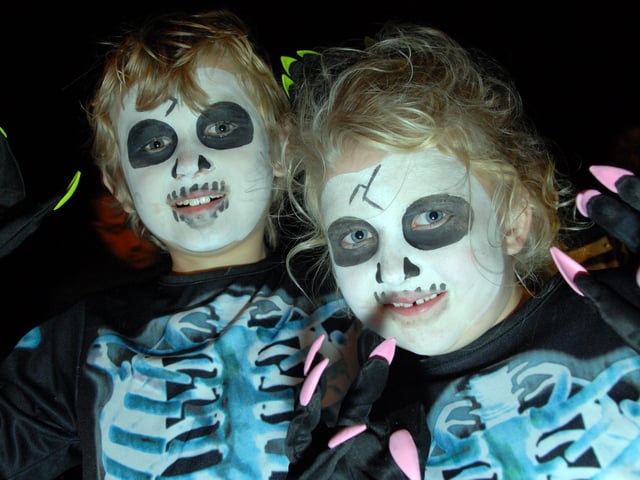 Berry Hill Park Trustees held a Halloween Fireworks display in Berry Hill Park in 2011.  Pictured are nine year old Olivia Scott and his sister 6 year old Amy from Mansfield Woodhouse.