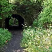 Part of the Gregory Quarry site, off Nottingham Road in Mansfield. (PHOTO BY: Mansfield District Council)