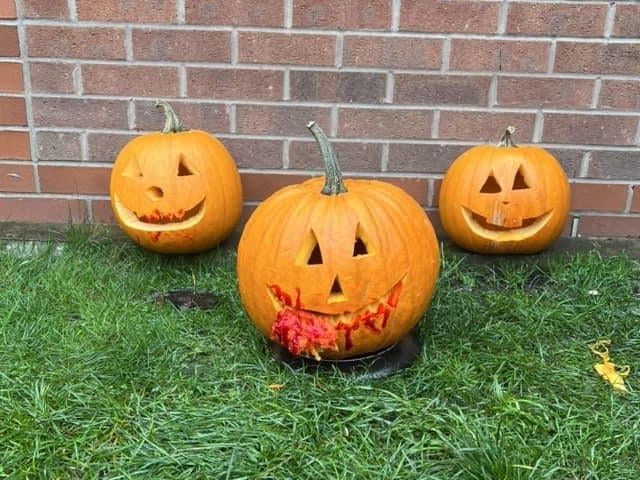 Gemma Inman, from Warsop, shared a photo of her pumpkins on the garden.