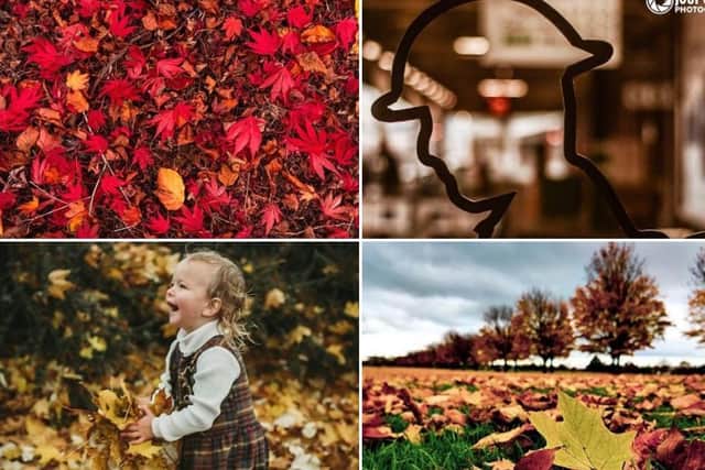 Click through this article to see autumnal photos of Doncaster.
