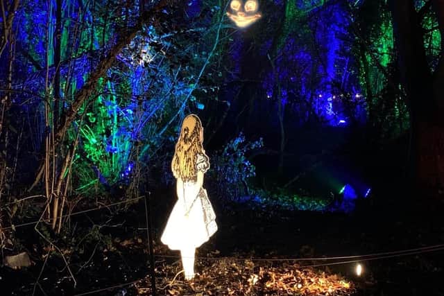 We found Alice, in Wonderland.