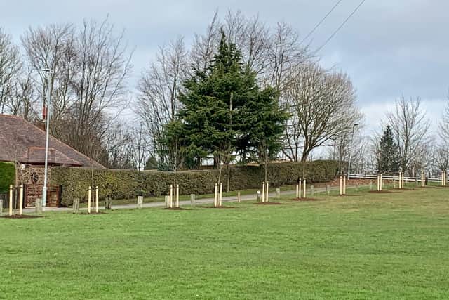 Dozens of new trees have been planted in Knowle Park.