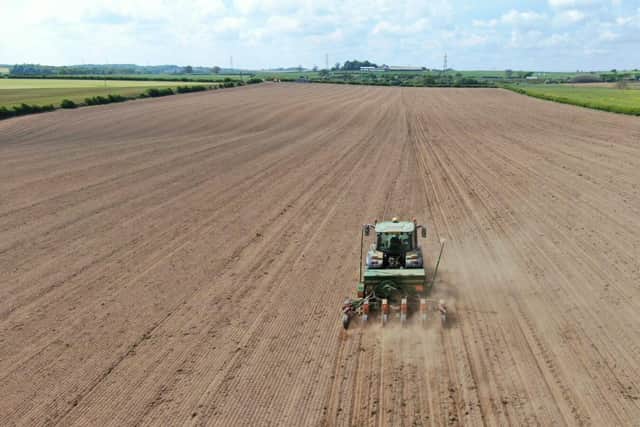 Rural businesses and communities are encouraged to explore growth potential.