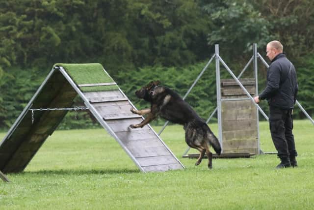 PC Dachtler, along with his dog Police Dog Brody.