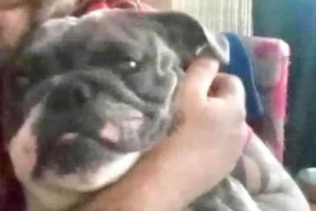 Missing Sasha is thought to be in Mansfield and Ashfield.