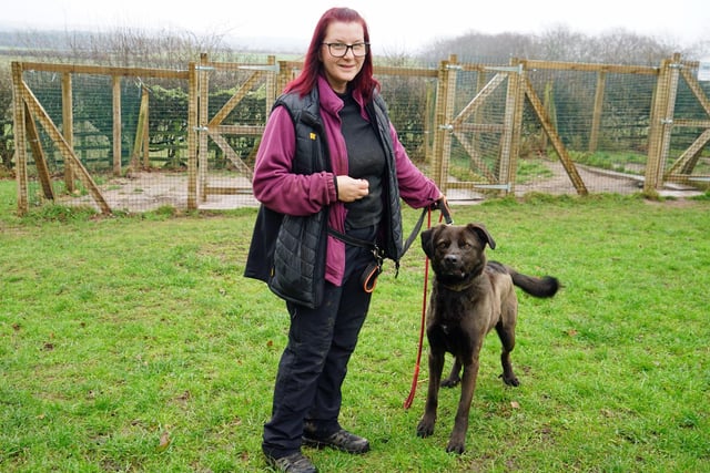 Gemma Brown with Colin at the Doggy Dens site. The dogs are given a new lease of life, with regular walks and quality time with volunteers, as they are able to recover after a bad start in life.