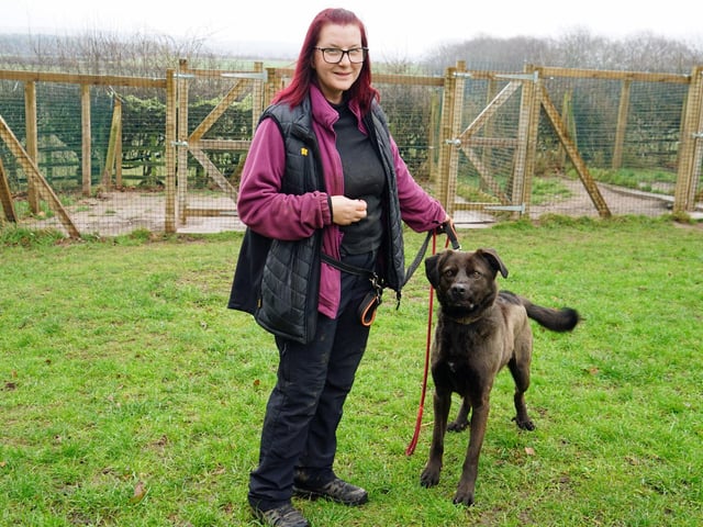 Gemma Brown with Colin at the Doggy Dens site. The dogs are given a new lease of life, with regular walks and quality time with volunteers, as they are able to recover after a bad start in life.