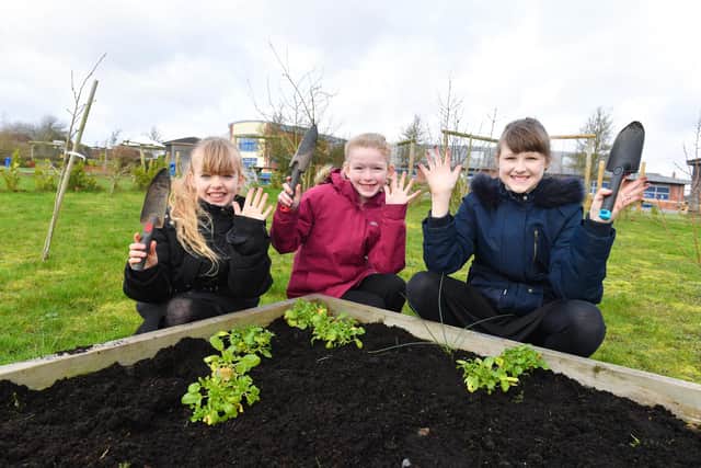 Pupils with teaching assistant and Eco leader Alison Fletcher getting their hands dirty.