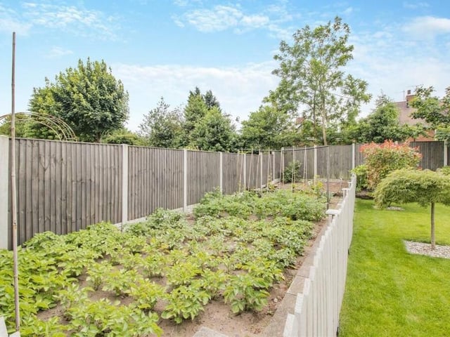 Other attractive features of the Forest Town bungalow's garden include raised flowerbeds, a variety of plants, shrubs and trees, a shed and a vegetable plot.