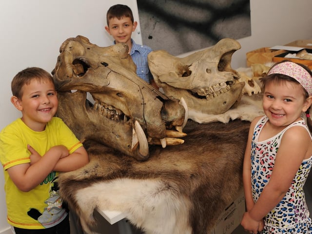 Picture: from left is Ben Huskinson, Jake Smyth, and Bethany Huskinson, pictured with the skull of a hippopotamus and a rhino.