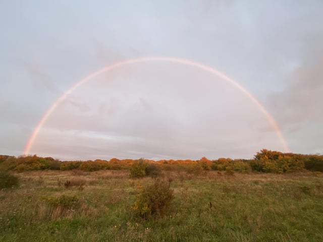 This beauty was captured over Alver Valley Country Park, in Gosport.