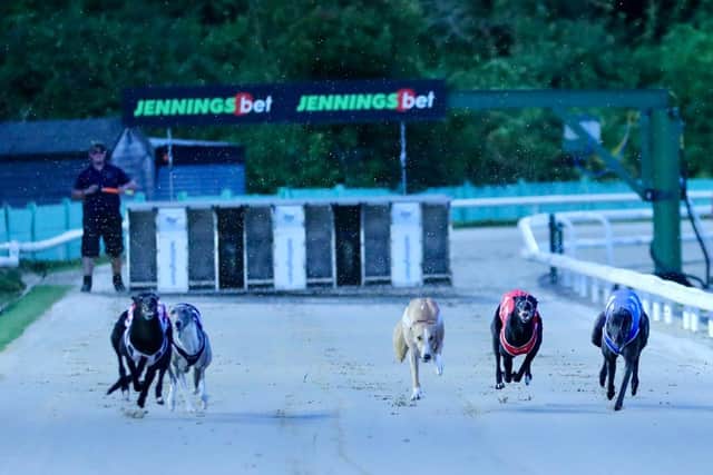 March On Freddie (far left) on his way to victory in Round One.