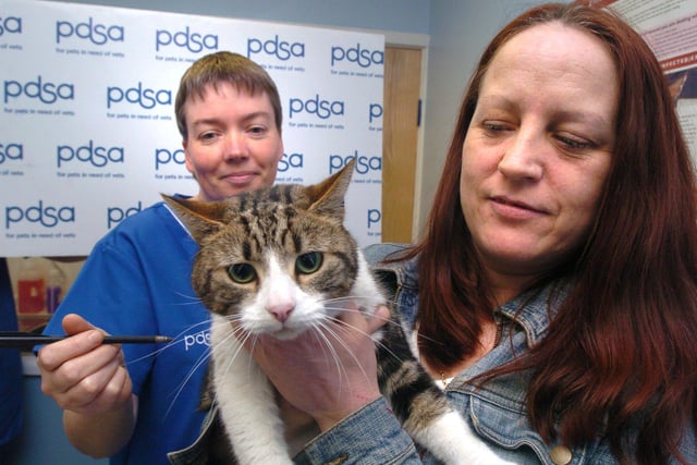 Pictured at the PDSA  Newhall Road, Sheffield, in 2004 where Gobby the cat was seen  with his owner Marie Lazenby, and vet  Liz Airey , who is holding the cross bow bolt that Gobby was shot with.