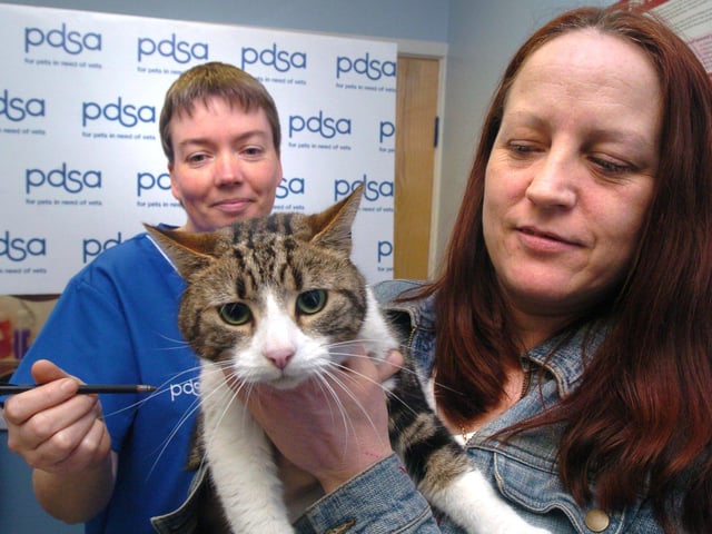 Pictured at the PDSA Newhall Road, Sheffield, in 2004 where Gobby the cat was seen with his owner Marie Lazenby, and vet Liz Airey , who is holding the cross bow bolt that Gobby was shot with.