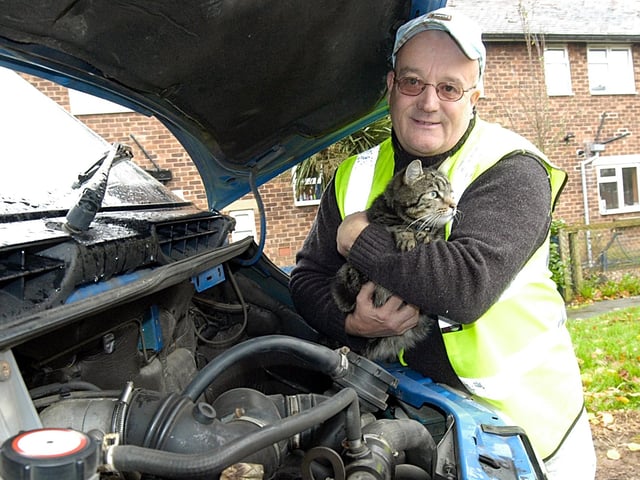 Back in 2006, this pussy cat must have used up one of its nine lives. Van driver Pat Riley was driving from Hucknall to Leicester, when he found the scared moggie under his van's bonnet.