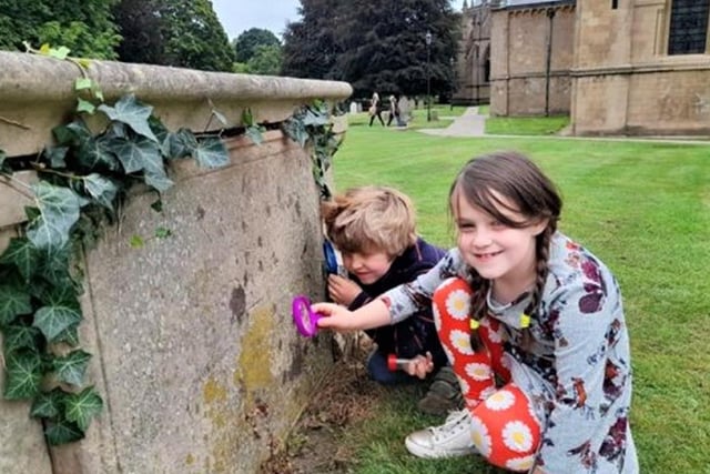 If the kids don't fancy being dragged along on the weekly shop on Saturday morning, how about taking them on a nature walk? At Southwell Minster between 10 am and 11.30 am, local ecologist Dr Adam Bates leads a family-friendly investigation of the wildlife in the grounds. Find out how the likes of lichens, butterflies and bees adapt to their surroundings.