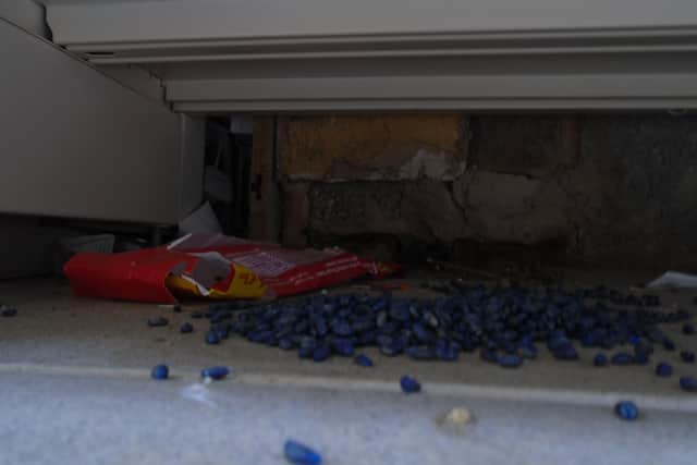 Evidence of the rat activity discovered in the store by Environmental Health officers.