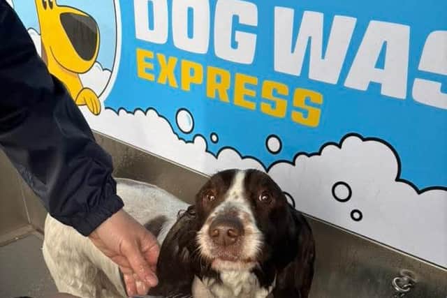 The Dog Wash Express machine will be open from April 28.
