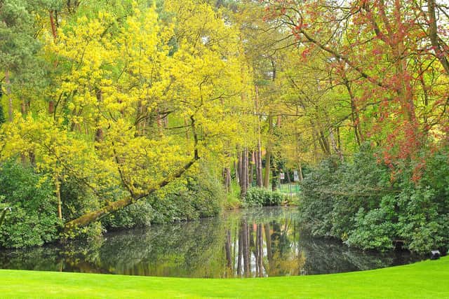Mansfield received no parks and green space lottery funding