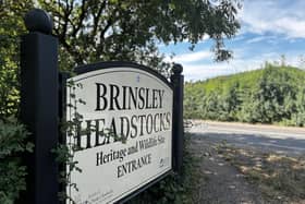 Costs to replace Brinsley Headstocks have doubled, the council says. Photo: Submitted