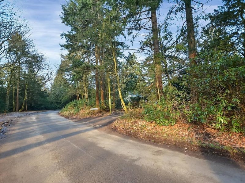 The last photo in our gallery shows the tree-lined approach to the property through the grounds of the delightful Newstead Abbey Park, an exclusive, gated community.