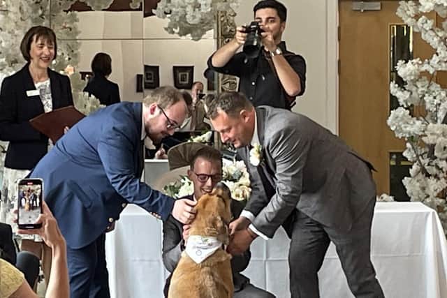 The couple's dog, Bernie, acted as ring-bearer.