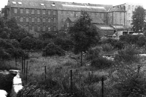 This five-storey former cotton mill was seen by residents of the town as a significant part of Mansfield's industrial heritage - with grade-II listed building status. But after standing derelict for many years, the once noble 18th Century Hermitage Mill was left in ruins after flames ripped through the building last year, destroying more than 200 years of industrial architectural history.