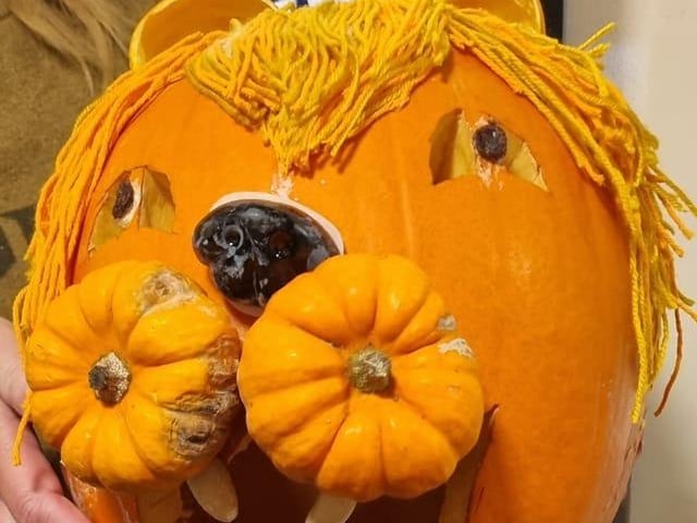 Chloe Rochelle King shared a photo of a pumpkin designed by Harley, aged five, for a pumpkin competition at school.