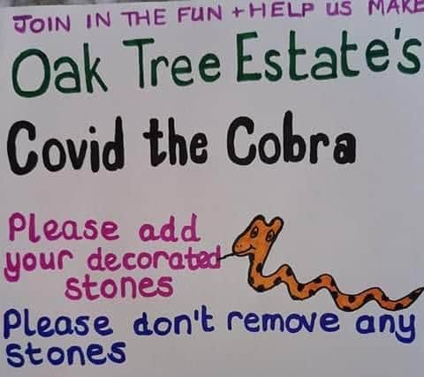 Covid Cobra message of kindness - Donna Buck