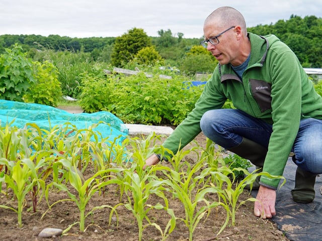 Adrian (not Alan) Partridge is always available to help at the allotments with plot-holders of varying experience and skills.