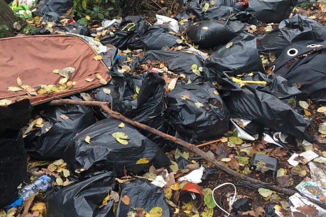 Bin bags of rubbish left in the woodlands