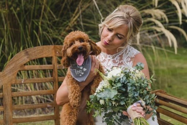 Stephanie Dunn said: This is biscuit! Our nine-month old cockapoo. She was our special guest at our elopement wedding during lockdown.