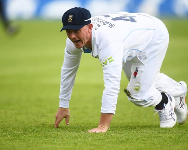 Ben McDermott fields the ball during another match to forget for Derbyshire. (Photo by Harry Trump/Getty Images)