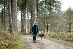 Sherwood Pines has been named the region’s top tourism destination.
