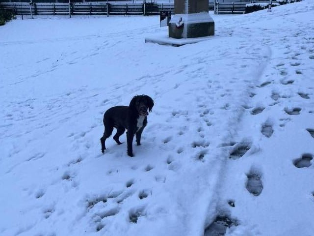 A snowy walk on Carr Bank in Mansfield.