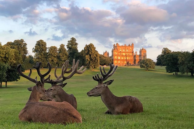 Wollaton Hall, in Wollaton Park, Nottingham is one of many beautiful landmarks in the county. The house is now Nottingham Natural History Museum, with Nottingham Industrial Museum in the outbuilding. The playground can be found near the main entrance, alongside the 508 café.