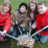 Pupils from Croft Prim school Sutton planted bulbs on Sutton Law. From the left - Charley Hallam, Liam Best, Natalie Hodgkinson and Michael Steel. 2007.