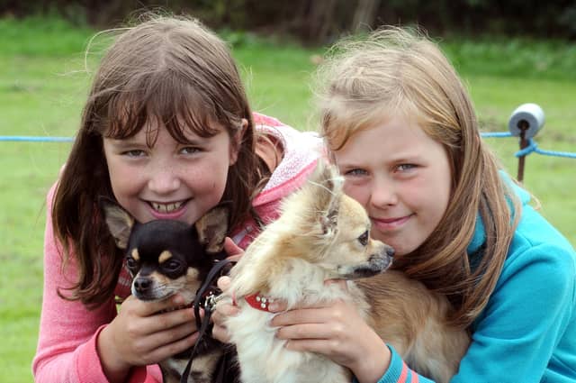 Check out our cute archive images of dog shows in Mansfield over the years. Pictured here are Isobel Taylor and Ellie Morgan with their dogs Oscar and Lola at the dog show held at the Annesley Acacia Centre's Summer Fair in 2012.